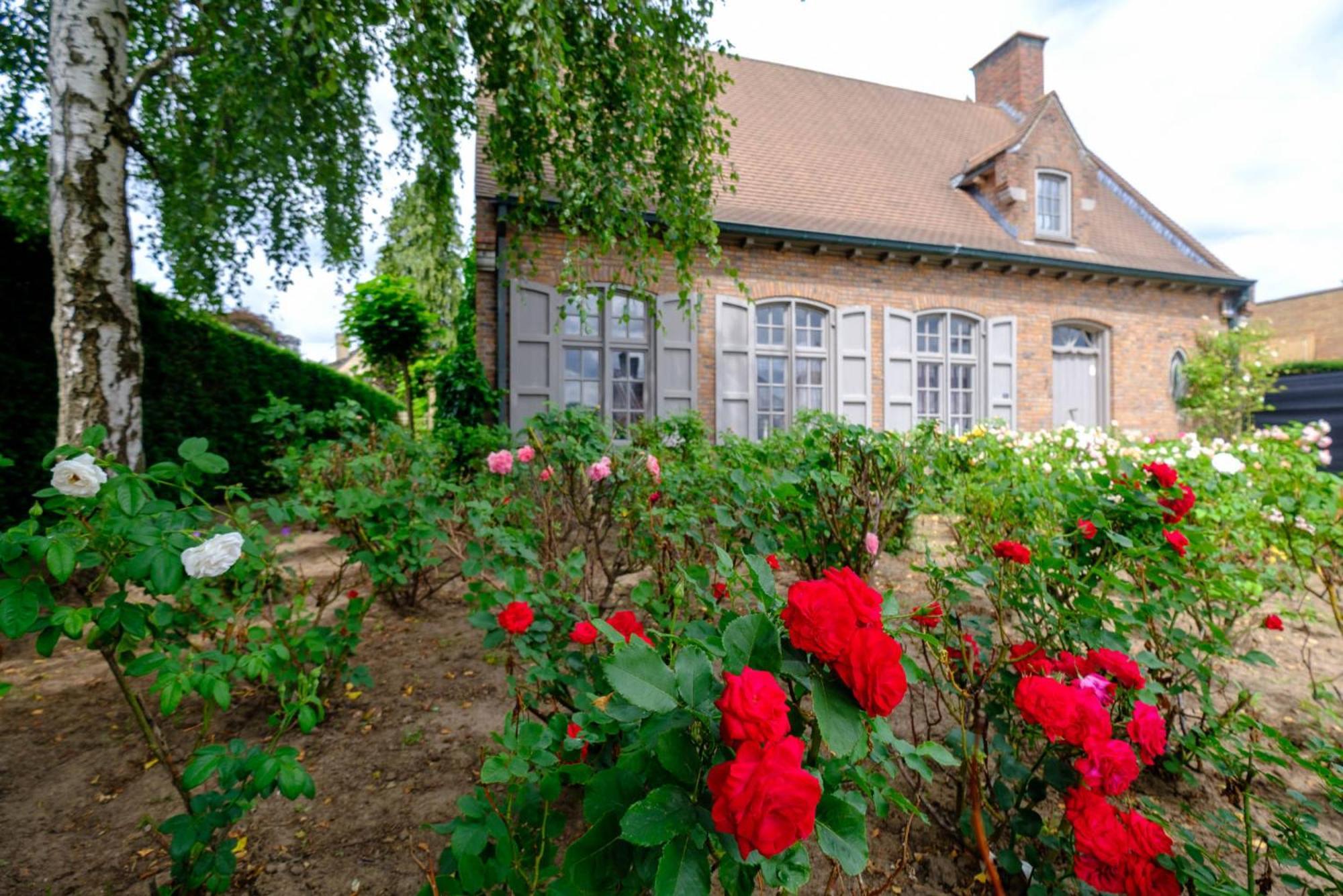 B&B Rozerie Anzegem Екстериор снимка