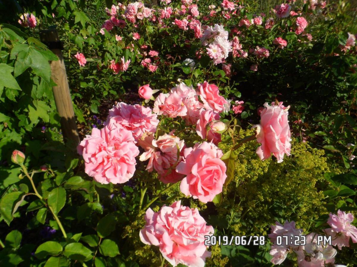B&B Rozerie Anzegem Екстериор снимка